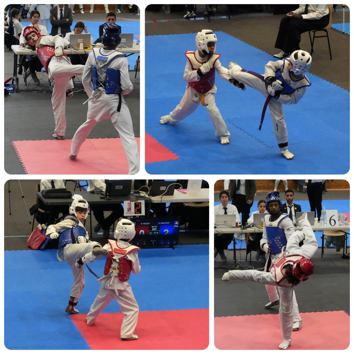 CHAMPIONNAT DÉPARTEMENTAL 77 - COMBAT