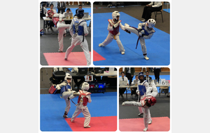 CHAMPIONNAT DÉPARTEMENTAL 77 - COMBAT