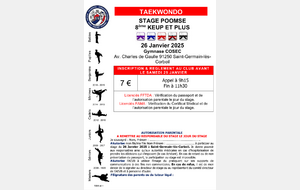 STAGE AEVB - POOMSAE - À PARTIR DE CEINTURE VIOLETTE